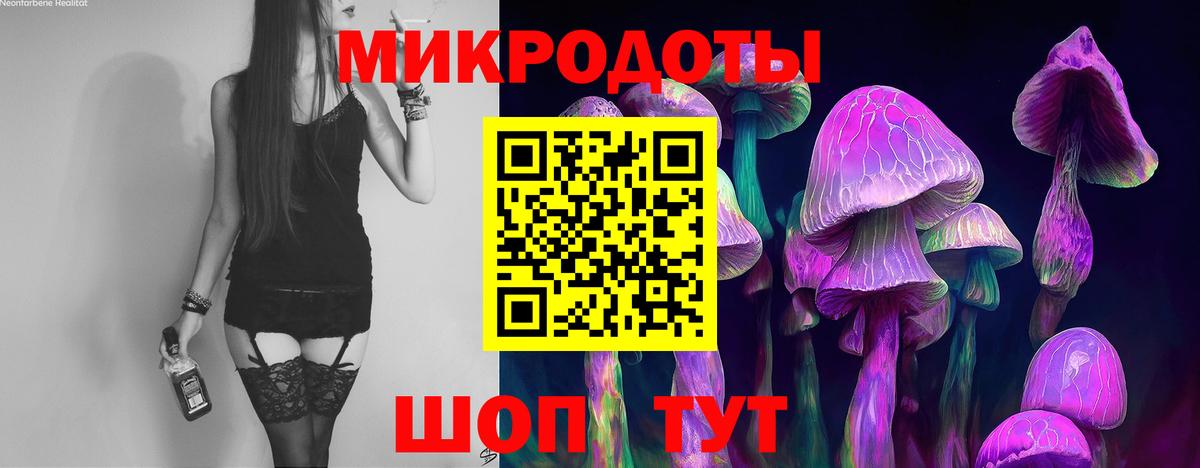 Куйбышев  Галлюциногенные грибы Psilocybine cubensis  Вход с VPN 