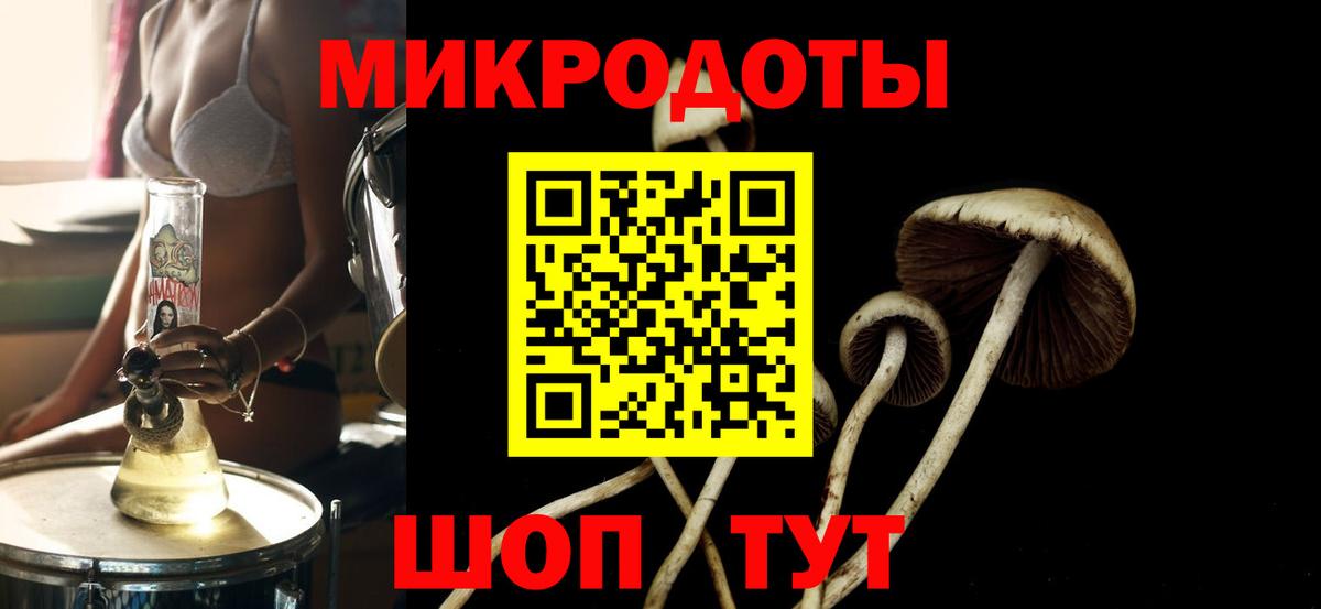 Псилоцибиновые грибы ЛСД Куйбышев